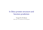 In Silico protein structure and function prediction