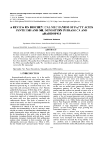 a review on biochemical mechanism of fatty acids synthesis and oil
