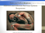 6_Pain and Inflammation_Afferent andf Efferent Nervous System