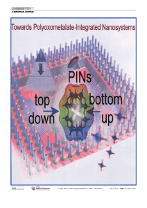 Towards Polyoxometalate-Integrated Nanosystems