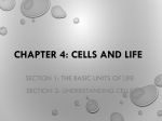 Chapter 4: Cells and Life