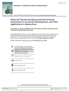 Maternal Thyroid and Glucocorticoid Hormone Interactions in Larval
