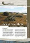 Ground Cover Plants - Dune Restoration Trust