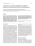 Tail formation as a continuation of gastrulation: the