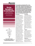 Bovine Spongiform Encephalopathy - KSRE Bookstore