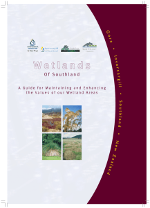 Wetlands of Southland - Environment Southland