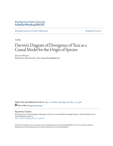 Darwin`s Diagram of Divergence of Taxa as a Causal Model for the