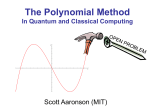 The Polynomial Method in Quantum and Classical