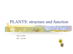 Plant Structure and Function