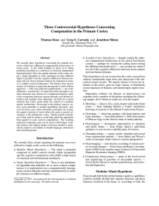 Three Controversial Hypotheses Concerning Computation in the