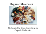 organic-macromolecules-bio-100