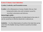 Lower Urinary tract infection