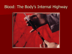 Blood: The Body`s Internal Highway