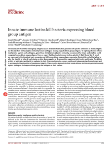 Innate immune lectins kill bacteria expressing blood group antigen
