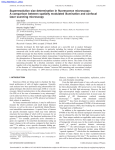 Superresolution size determination in fluorescence microscopy: A