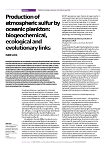 Production of atmospheric sulfur by oceanic plankton