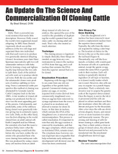 An Update On The Science And Commercialization Of Cloning Cattle