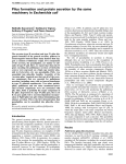 Pilus formation and protein secretion by the same machinery in