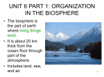 UNIT 6 PART 1 ORGANIZATION IN THE BIOSPHERE