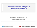 Voice over Mobile IP