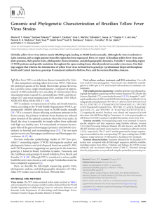 Genomic and phylogenetic characterization of Brazilian yellow fever