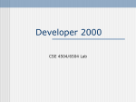 Developer 2000