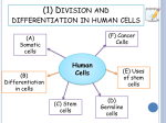 Cancer-Cells