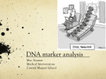 DNA marker analysis - Central Magnet School