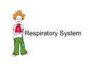 Respiratory System