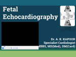 FETAL ECHONew FE PPT_ibn sina