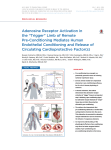 Adenosine Receptor Activation in the€“Trigger” Limb of Remote Pre