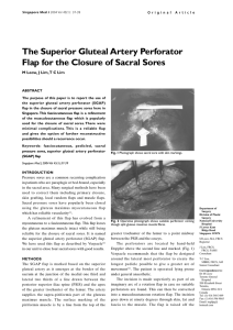 The Superior Gluteal Artery Perforator Flap for the Closure of Sacral