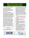 Hippo Conservation and the World Conservation Union