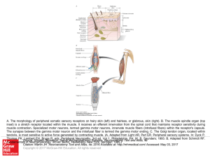 Slide ()