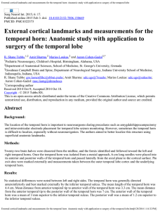 External cortical landmarks and measurements for the temporal horn