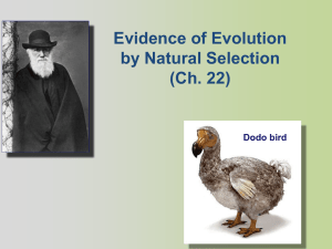 2.3 evidence of evolution 2010edit