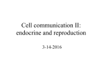 Cell signaling, endocrine and reproduction