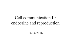 Cell signaling, endocrine and reproduction