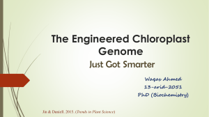 The Engineered Chloroplast Genome Just Got Smarter