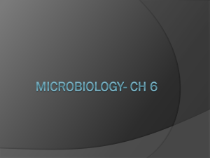 Microbiology - North Mac Schools
