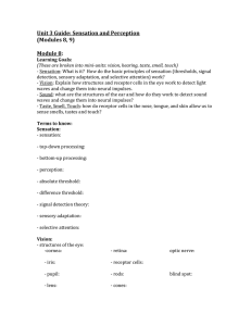 Unit 3 Guide: Sensation and Perception (Modules 8, 9) Module 8