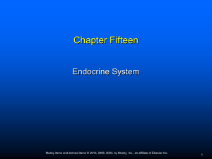 Chapter_015_Endocrine_revised