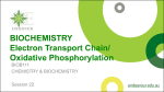 BIOCHEMISTRY Electron Transport Chain
