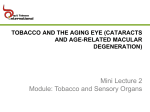 Cataracts and Age-Related Macular Degeneration