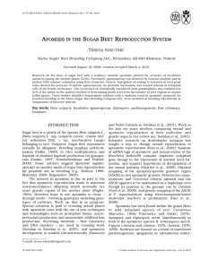 APOMIXIS IN THE SUGAR BEET REPRODUCTION SYSTEM