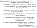 2/22/17 Respiratory System