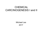 chemical carcinogenesis - Rutgers New Jersey Medical School