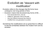 evolution_natural_selection_2011