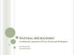 Natural_mechanisms_final_presentation