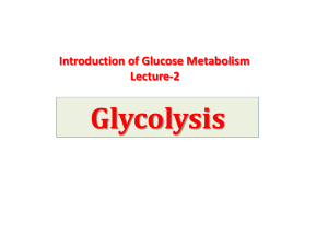 Key enzymes in glycolysis